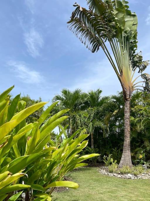 Villa Colada Residence Arcadia Saint-Francois  Exterior photo